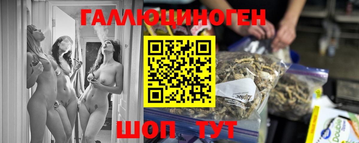 Псилоцибиновые грибы Psilocybe  Галлюциногенные грибы прущие грибы  Вход с VPN  Похвистнево 